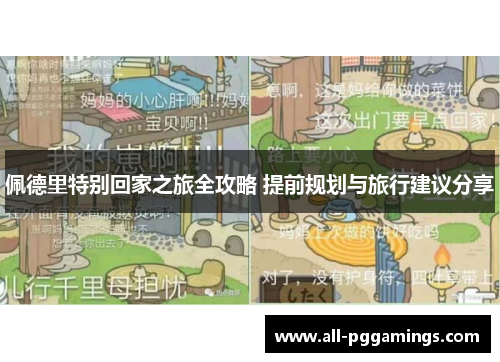 佩德里特别回家之旅全攻略 提前规划与旅行建议分享