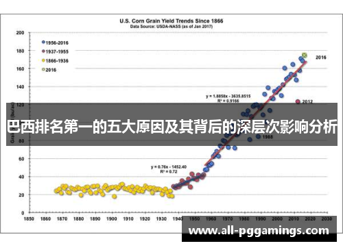 巴西排名第一的五大原因及其背后的深层次影响分析
