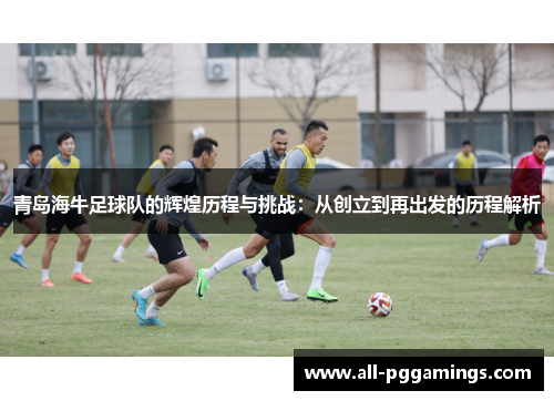青岛海牛足球队的辉煌历程与挑战：从创立到再出发的历程解析